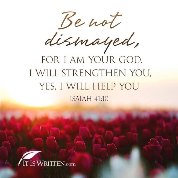 Meet your Posher, Arlene - Picture 3 of 4